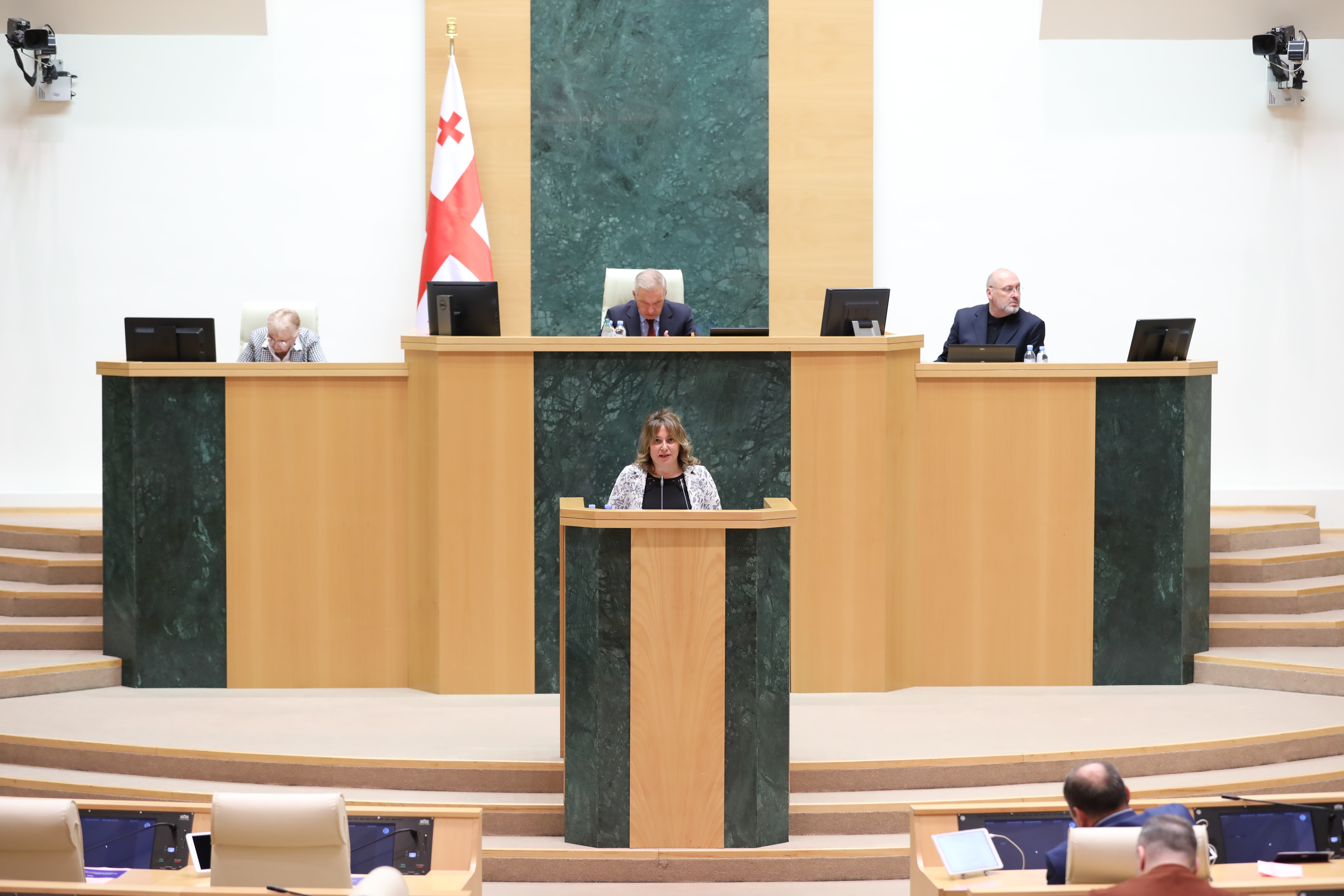 პერსონალურ მონაცემთა დაცვის სამსახურის უფროსმა ლელა ჯანაშვილმა პარლამენტს სამსახურის საქმიანობის ანგარიში წარუდგინა