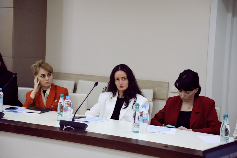 The Representatives of the service introduced the novelties provided by the new law to the employees of the Administration of the Government of Georgia