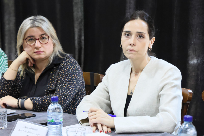 სახალხო დამცველის აპარატმა და პერსონალურ მონაცემთა დაცვის სამსახურმა ორდღიანი სამუშაო შეხვედრა გამართეს