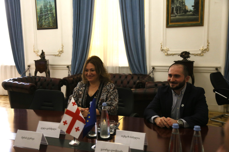 Prof. Dr. Dr. Lela Janashvili met with the President of the Constitutional Court